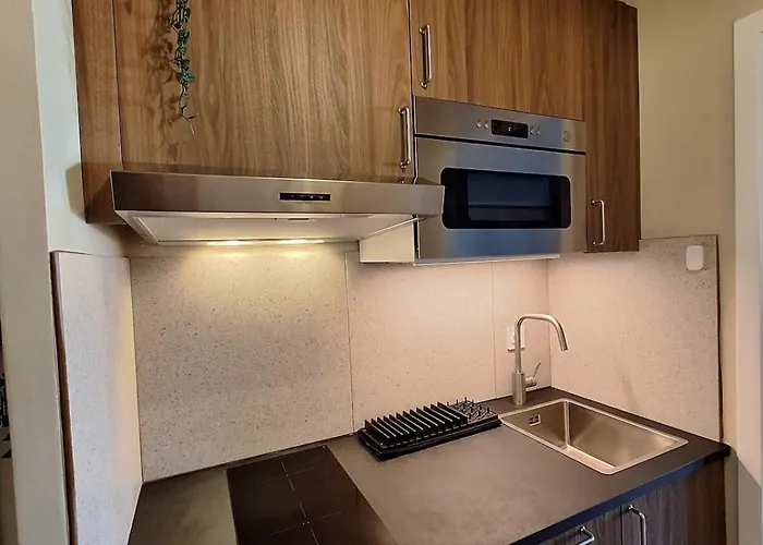 Le Ptit Charly - Rdc Et Thermes 50m Aix-les-Bains